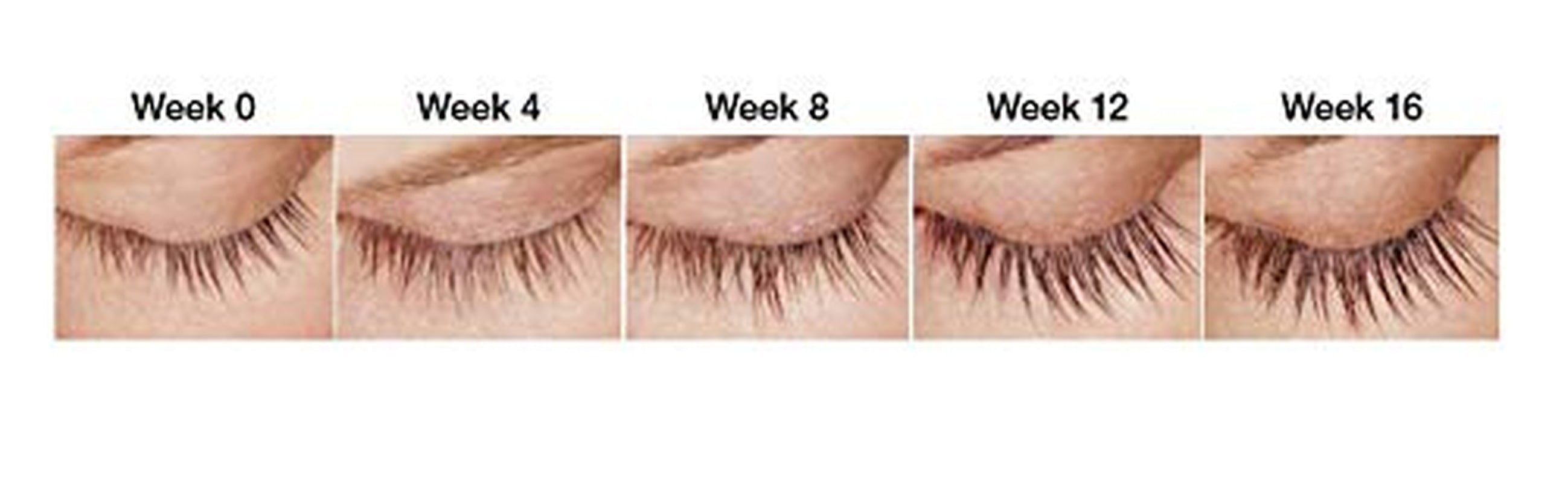 Lash Serum for Eyelash Growth - Eyelash Serum Growth - Eyelash Growth Serum - Eye Lash Serum Growth - Lash Growth Serum - Eyelash Enhancing Serum - Suero Para Pestañas Crecimiento (XL)