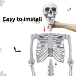 5.4ft 165cm Halloween Realistic Full Body Skeleton Life Size Human Bones with Movable Joints for Halloween Party Prop Decoration