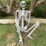 5.4ft 165cm Halloween Realistic Full Body Skeleton Life Size Human Bones with Movable Joints for Halloween Party Prop Decoration