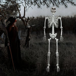 5.4ft 165cm Halloween Realistic Full Body Skeleton Life Size Human Bones with Movable Joints for Halloween Party Prop Decoration