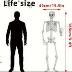 5.4ft 165cm Halloween Realistic Full Body Skeleton Life Size Human Bones with Movable Joints for Halloween Party Prop Decoration