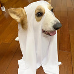 Dog Holloween Cosplay Costume Horror Spooky Outfits Animal Hooded Cape Pet Carnival Party Role Play White Ghost COS