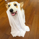 Dog Holloween Cosplay Costume Horror Spooky Outfits Animal Hooded Cape Pet Carnival Party Role Play White Ghost COS