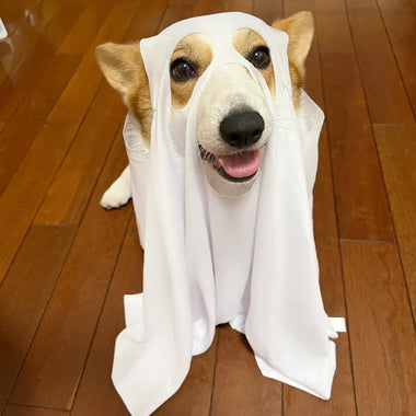 Dog Holloween Cosplay Costume Horror Spooky Outfits Animal Hooded Cape Pet Carnival Party Role Play White Ghost COS