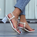 Fashion Flowers Sandals With Transparent High Square Heels Summer Square Toe Shoes For Women